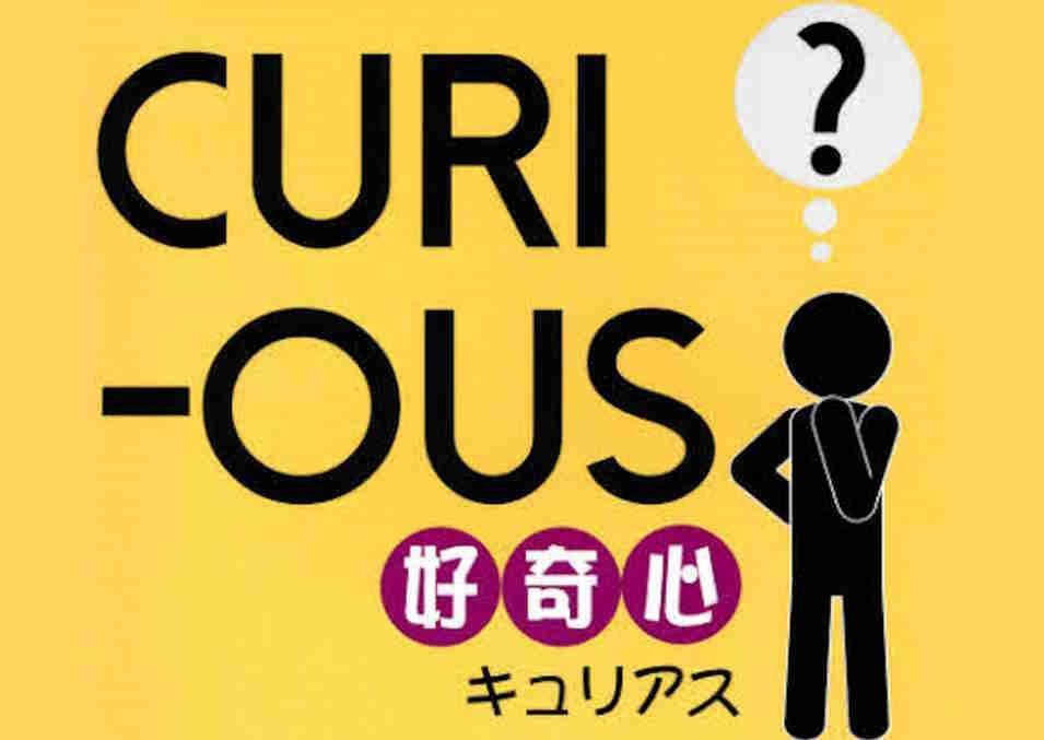 CuriousBook1090